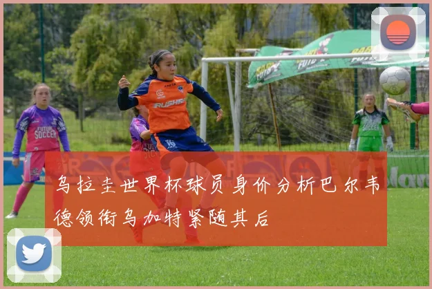 乌拉圭世界杯球员身价分析巴尔韦德领衔乌加特紧随其后