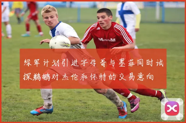 绿军计划引进字母哥与墨菲同时试探鹈鹕对杰伦和怀特的交易意向
