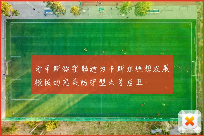 考辛斯称霍勒迪为卡斯尔理想发展模板的完美防守型大号后卫